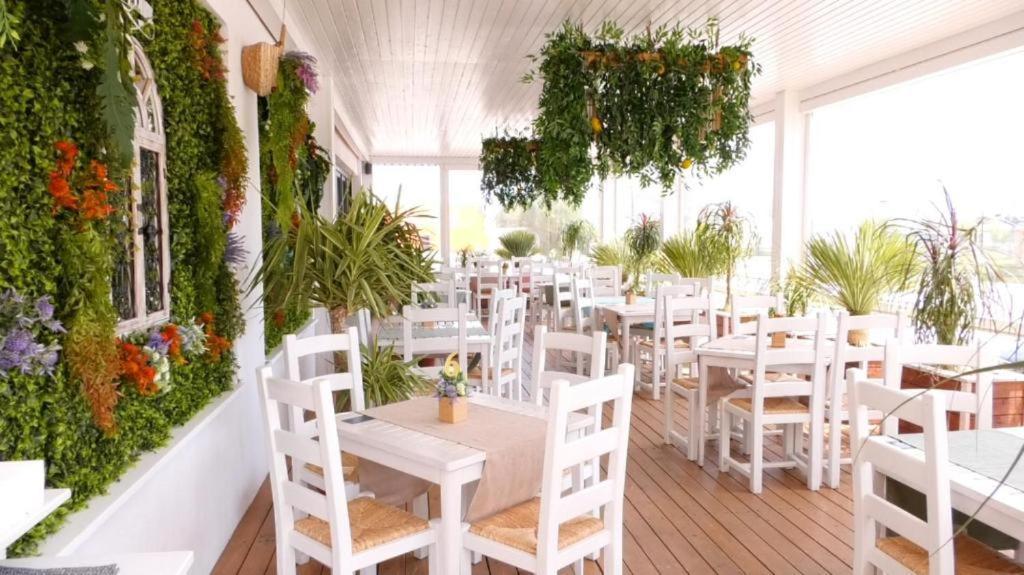 Mamaia Fratelli Summerland المظهر الخارجي الصورة